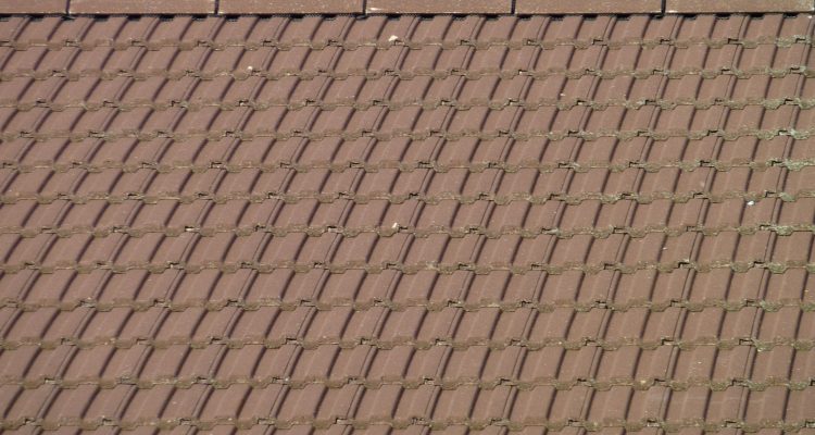 slating and tiling page image 4-min